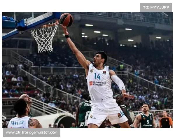 奥林匹亚科斯篮球俱乐部:希腊篮球强队历史悠久成就辉煌 奥林匹亚科斯篮球俱乐部:希腊篮球强队历史悠久成就辉煌